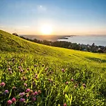 Thelake I Bodensee I St Gallen I Bregenz I Appenzell *