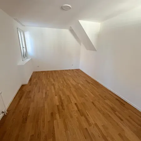 Thelake I Bodensee I St Gallen I Bregenz I Appenzell Staad