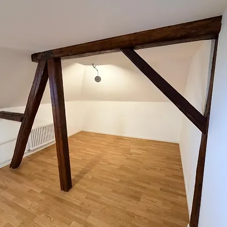 Thelake I Bodensee I St Gallen I Bregenz I Appenzell Apartament Staad