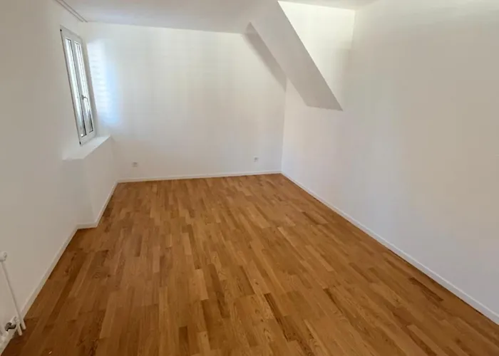 Thelake I Bodensee I St Gallen I Bregenz I Appenzell Staad