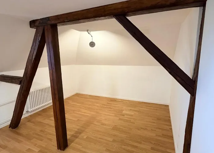 Thelake I Bodensee I St Gallen I Bregenz I Appenzell Apartment Staad