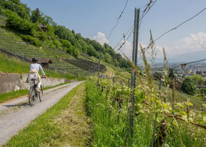 Thelake I Bodensee I St Gallen I Bregenz I Appenzell シュタード