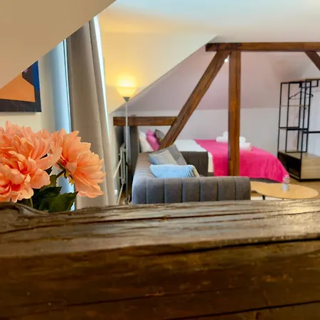 Duplex-wohnung Mit Dachterrasse Am Bodensee 公寓